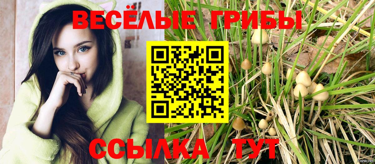 Псилоцибиновые грибы GOLDEN TEACHER Фурманов